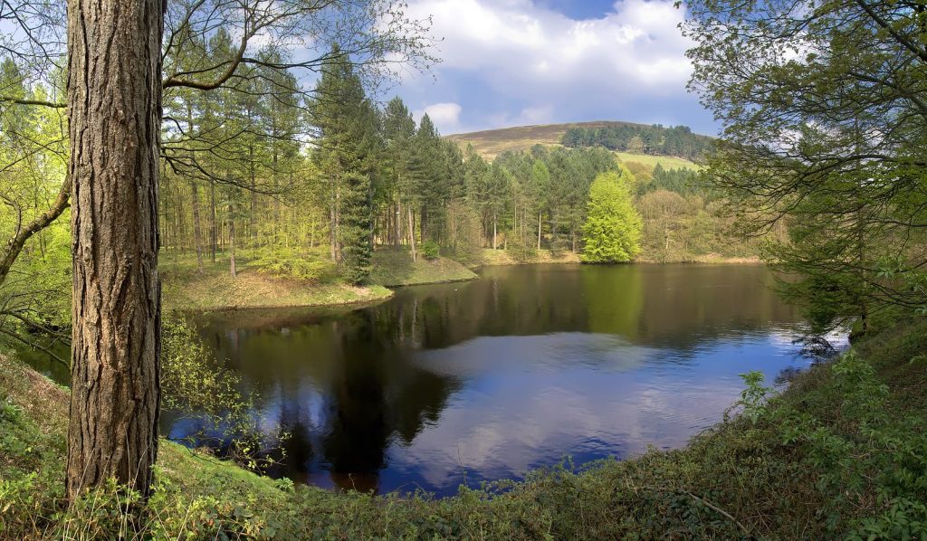 Switch water supplier - Ladyblower Reservoir in the Derwent Valley